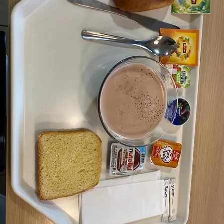 酒店 卡尔卡松克拉斯艾克酒店 *